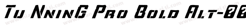 Tu NninG Pro Bold Alt字体转换